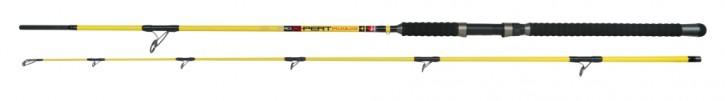 Dega Meeresrute Pro X-Pert Pilk & Jig 60-120g 2,40m