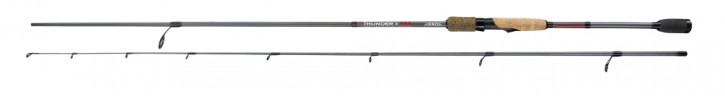 Jenzi Spinnrute Thunder TPS 2,70m 10-28g