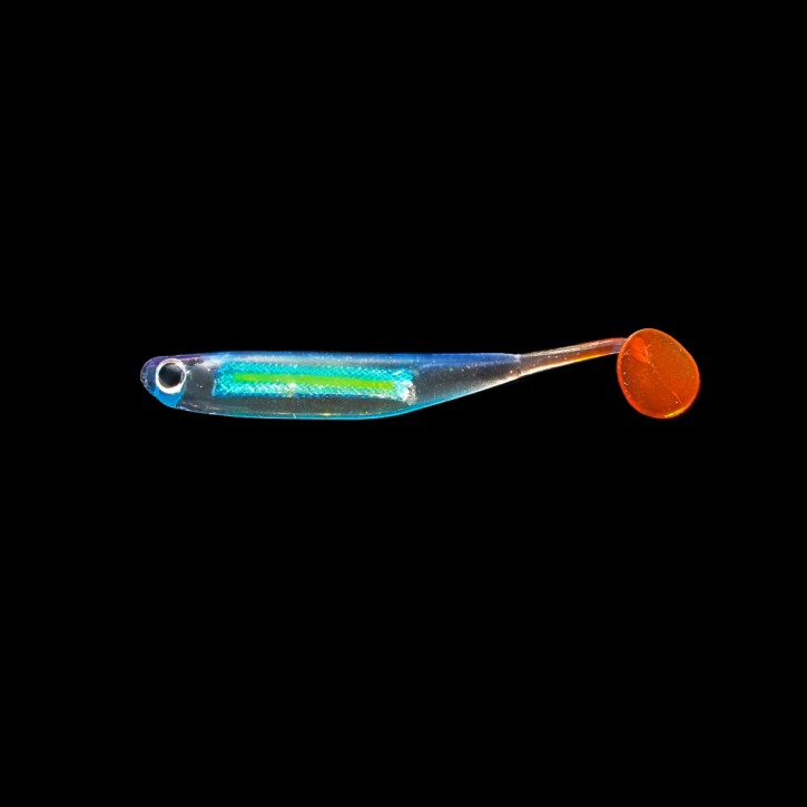 Jenzi Gummifisch SHINY Shad ,Shad`y" Farbe C 7,5cm