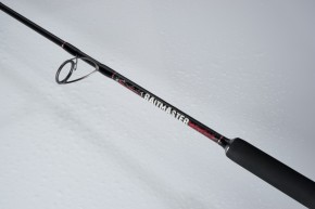 Jenzi Welsrute Siluro Special Baitmaster Vertical 1,70m 100-250g