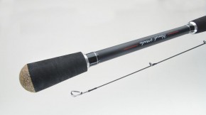 Jenzi Spinrute Avalon Pro Spin 3-20g  2,70m