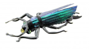 Jenzi Fliege Streamer Insektenimitate Set A