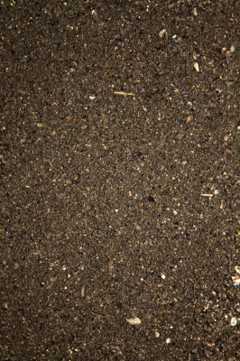 FTM Fertigfutter Premium Allround Black 1kg